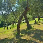 Willa Costa Dei Gelsomini - 5 Posti Letto, Piscina E Giardino Privato Vista Mare Rapallo