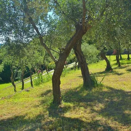 Willa Costa Dei Gelsomini - 5 Posti Letto, Piscina E Giardino Privato Vista Mare Rapallo