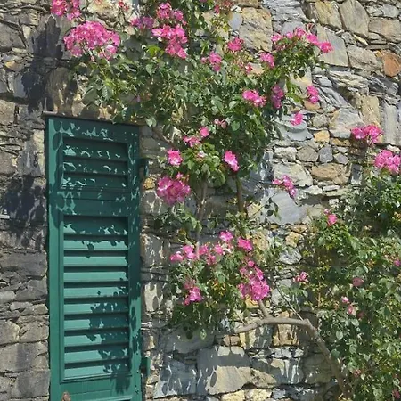 Villa Costa Dei Gelsomini - Sea View, Private Pool Rapallo